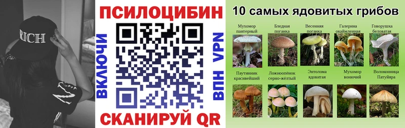 Псилоцибиновые грибы Psilocybine cubensis  Приморск 