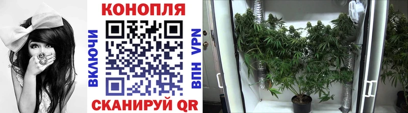 Бошки марихуана семена  магазин    Приморск 